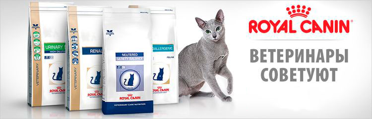 Royal Canin Renal