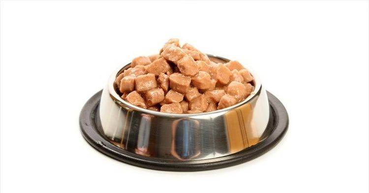 Aliment humide pour chats