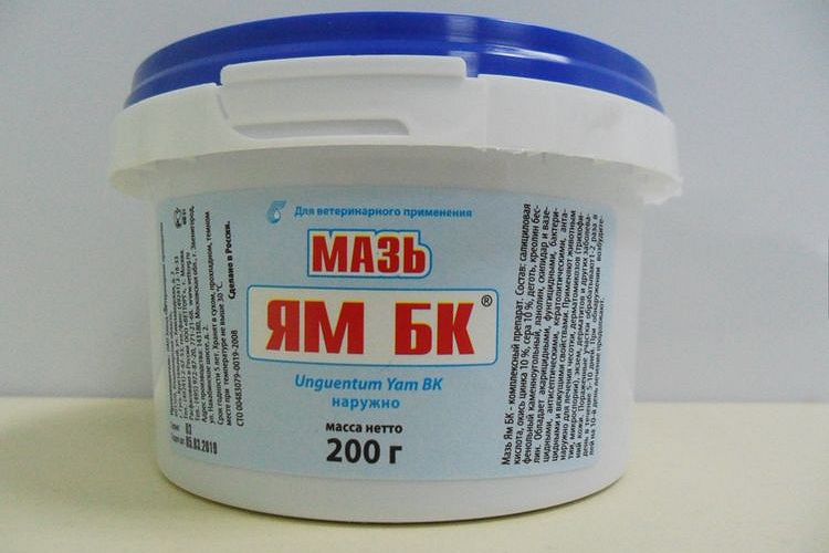 Pommade Yam BK pour chats