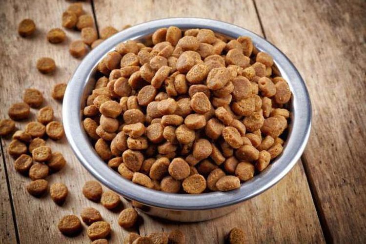 Bol contenant des croquettes