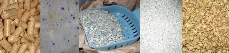 Types de litière pour chats