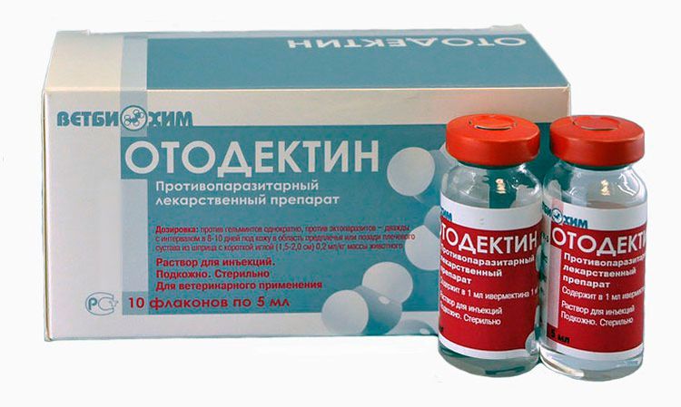 Otodectin pour chats