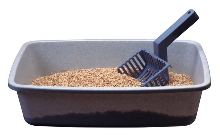 Bac à litière pour chat et pelle