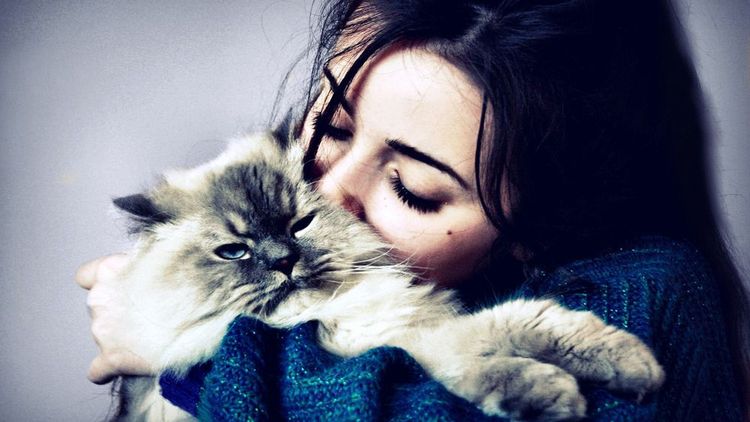 Une fille embrasse un chat tout doux