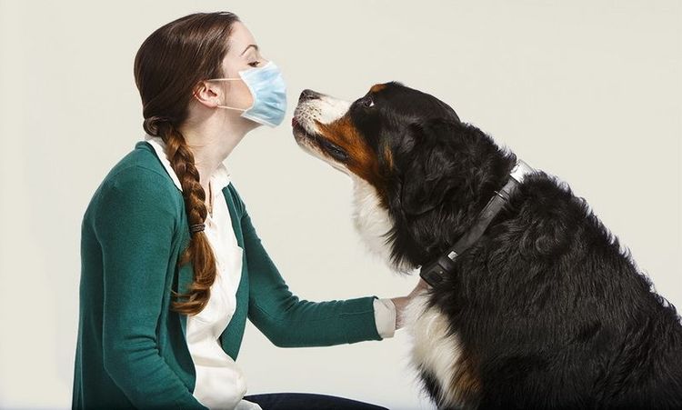 Une fille masquée et un chien