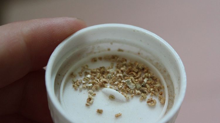 Portion individuelle de Bifitrilak