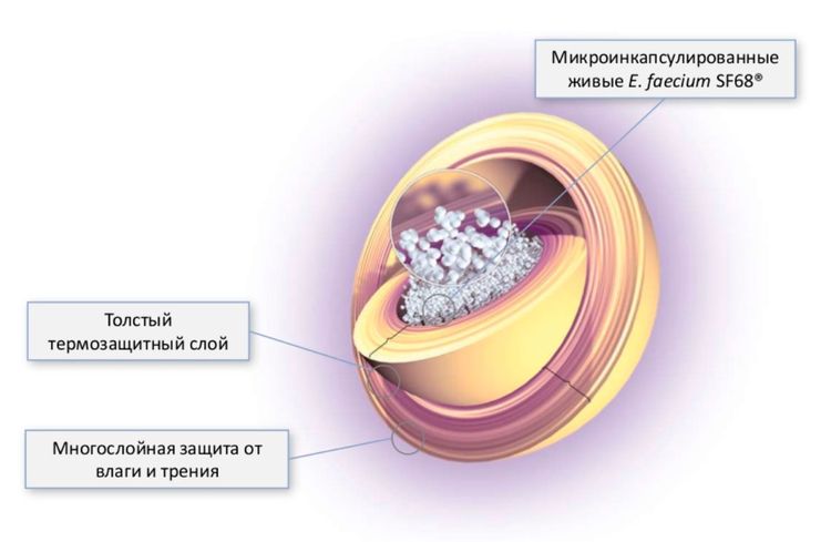 La structure du granule de Fortiflora