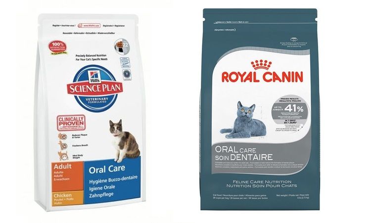 Aliments pour la prévention des maladies dentaires chez les chats