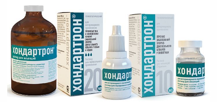 Hondatron pour chiens