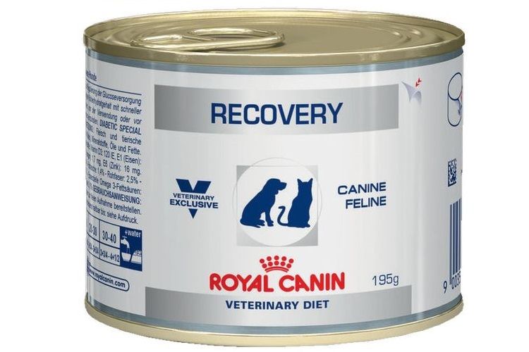 Royal Canin pour la prise de poids