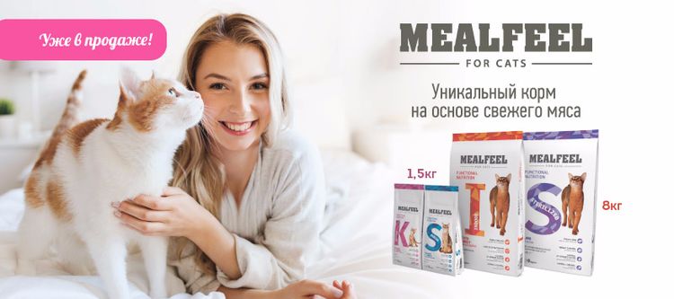 Nourriture pour chats Milfil