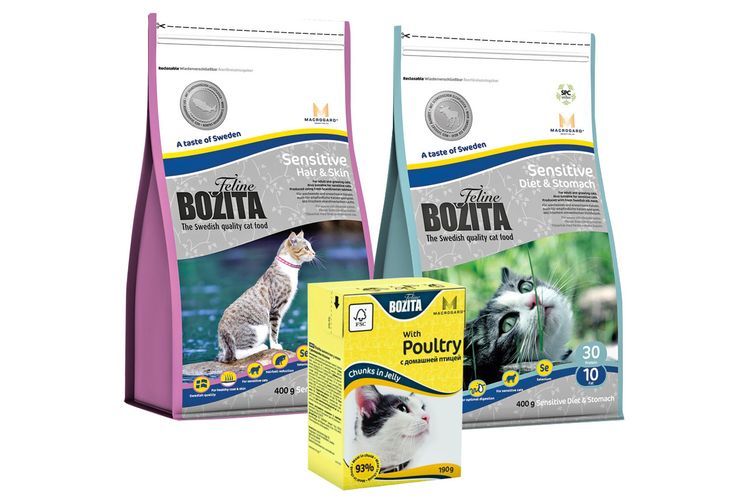 Alimentation pour chats à digestion sensible