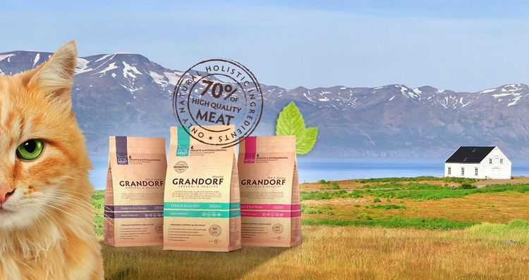 Alimentation pour chats à digestion sensible