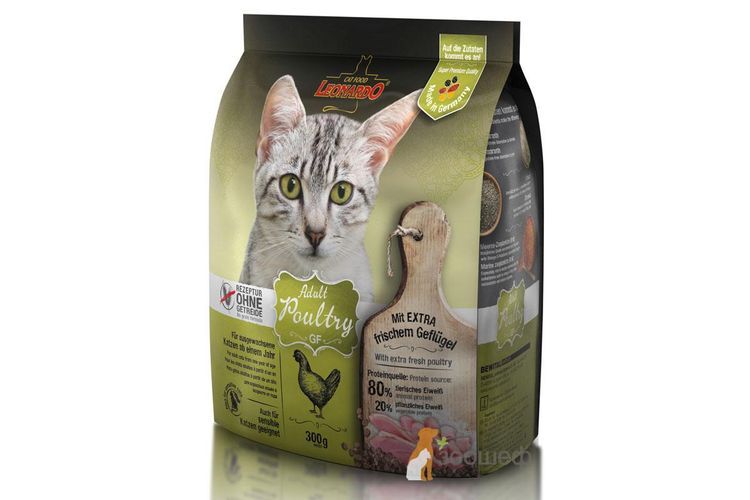Alimentation pour chats à digestion sensible