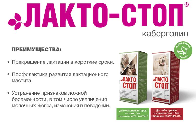 Lacto-Stop pour chiens