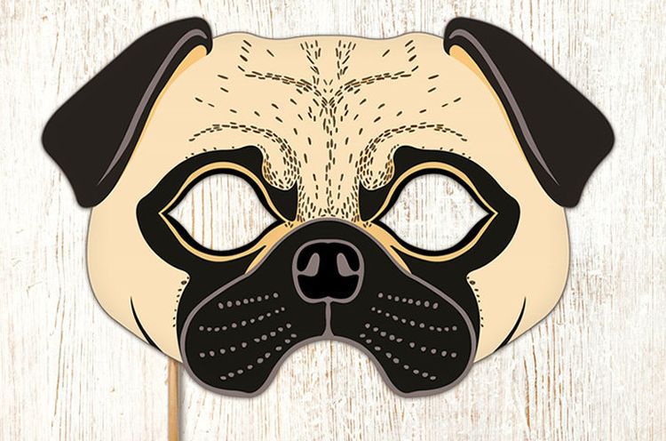 Masque pour chien fait maison