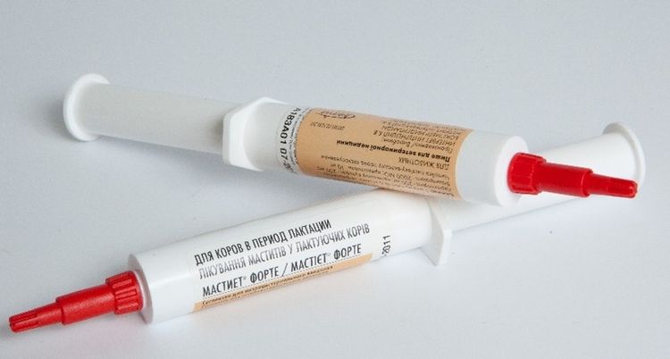 Mastiet Forte pour chiens