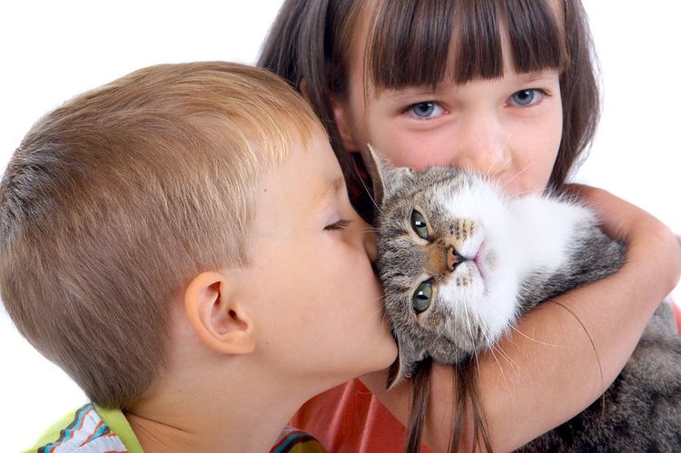 Des enfants jouent avec un chat