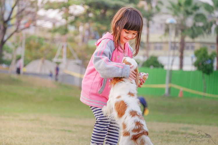 Une fille qui danse avec un chien