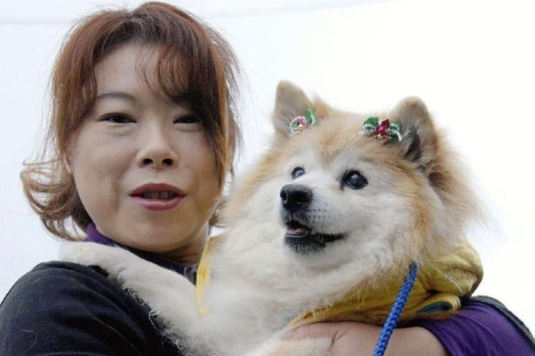 Le plus vieux chien Puske