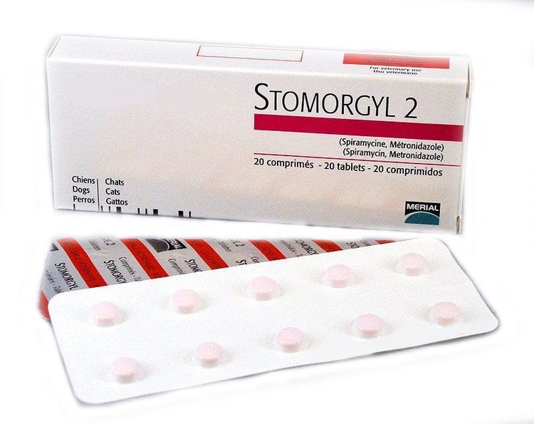 Stomorgil pour chiens