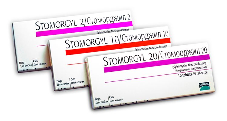 Stomorgil pour chiens