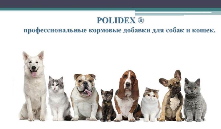 Vitamines Polydex pour chiens