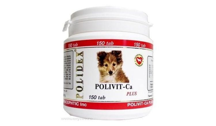 Polivit-Calcium Plus