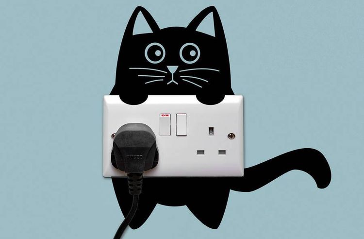 Pochoir chat pour décoration