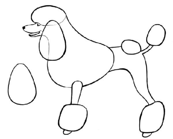 Applique pour chien à faire soi-même