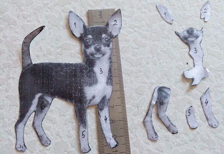 Applique pour chien à faire soi-même