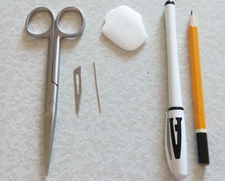 Applique pour chien à faire soi-même