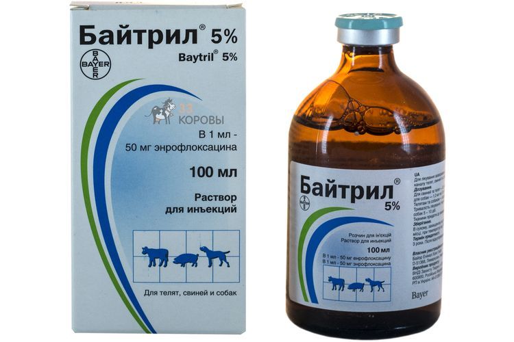 Baytril pour chiens