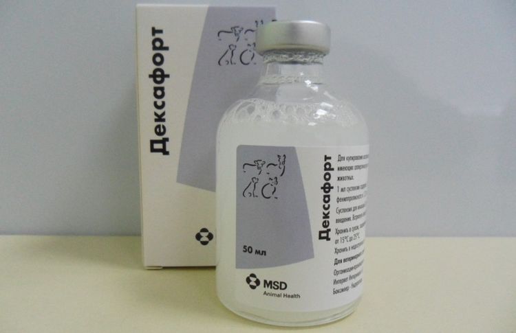 Dexafort pour chiens