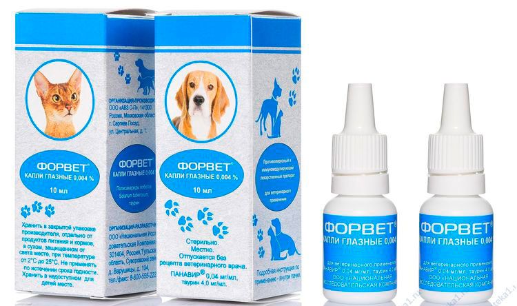 Gouttes Forvet pour chiens