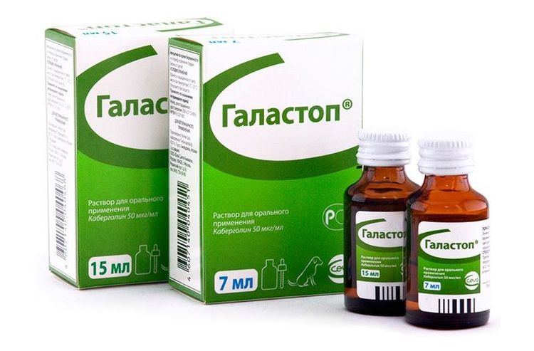 Galastop pour chiens