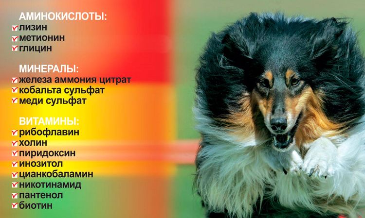 Composition de l'hémobalance