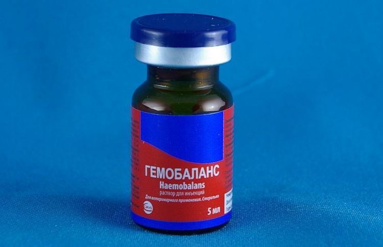 Hémobalance pour chiens