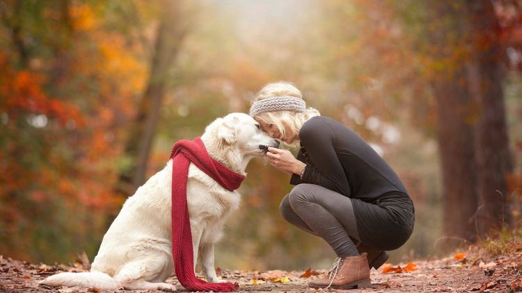 Une fille et un chien