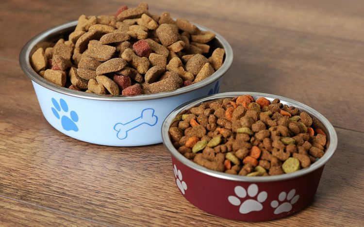 croquettes pour chien