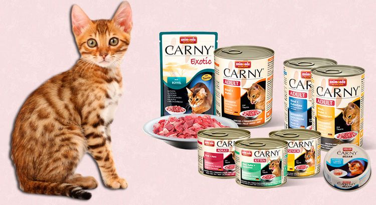 Nourriture pour chats Animonda