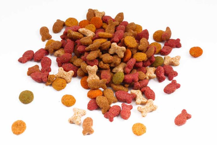 croquettes pour chat