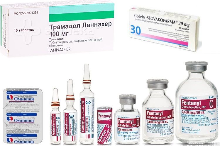 Analgésiques pour chats