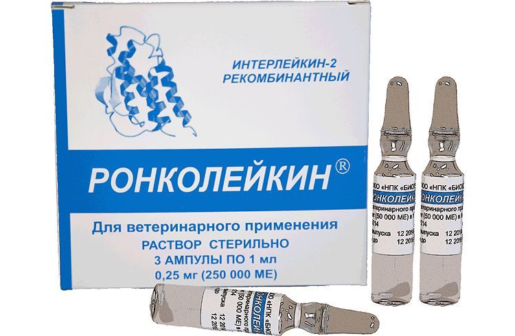 Roncoleukin pour chiens