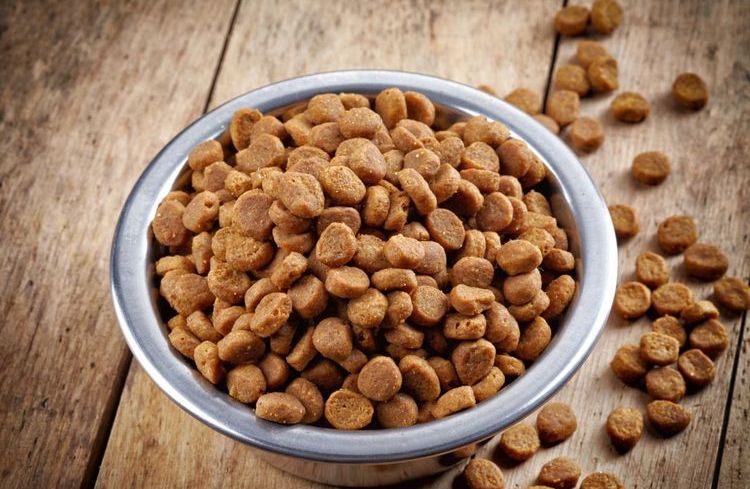 Croquettes dans un bol