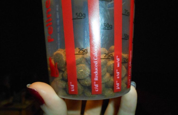 Tasse à mesurer pour les aliments