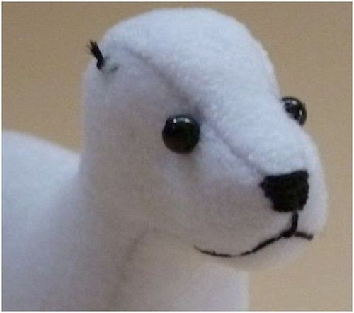 Artisanat en feutrine pour chiens