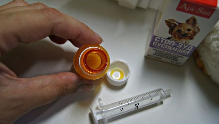 Suspension anti-démangeaisons pour chiens