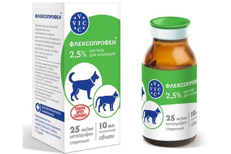 Flexoprofène pour chiens