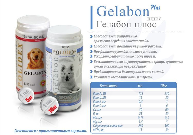 Composition de Gelabon Plus pour chiens